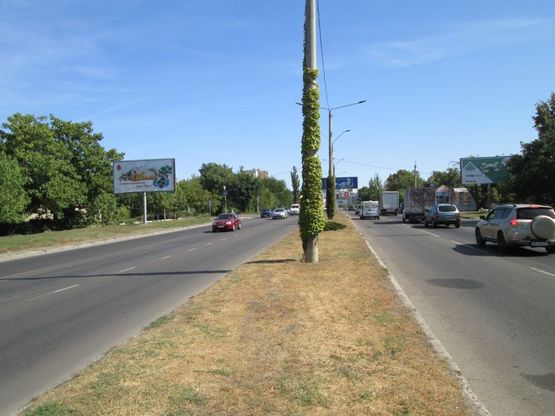 Фото рекламної площини за адресою Южная дорога, 65 - ул. Кишиневская