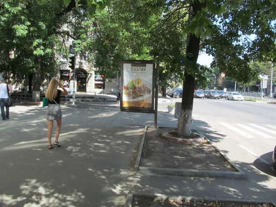 Фото рекламной плоскости по адресу Науки просп. (Леніна просп.), 9 - Бакуліна (Дзержинський р-н) вул.