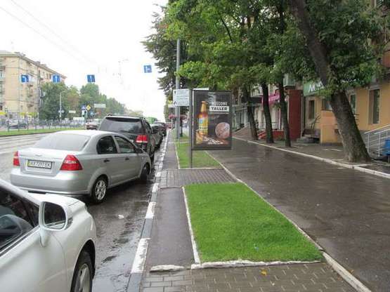 Фото рекламной плоскости по адресу Науки просп. (Леніна просп.), 19