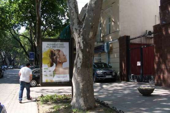 Фото рекламної площини за адресою Пушкінська вул., 36