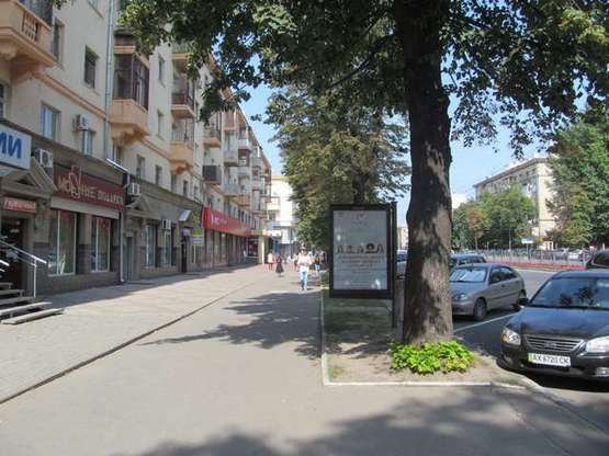 Фото рекламной плоскости по адресу Науки просп. (Леніна просп.), 13