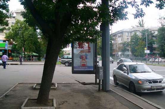 Фото рекламной плоскости по адресу Науки просп. (Леніна просп.) - Данилевського вул., (№2)