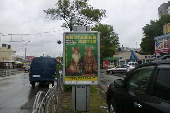 Фото рекламной плоскости по адресу Раїси Окіпної вул., 3 (магазинн "Домотехніка")