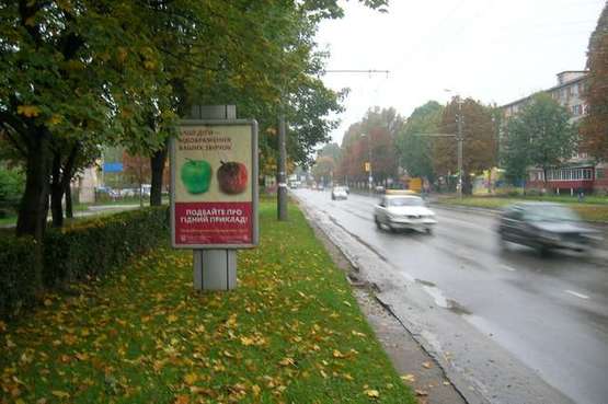 Фото рекламної площини за адресою Злуки просп., 9