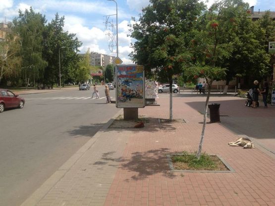 Фото рекламної площини за адресою вул.Жовтнева 18, возле остановки