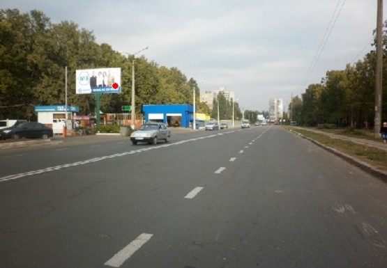 Фото рекламной плоскости по адресу Космонавтов ул., - парк Дубки