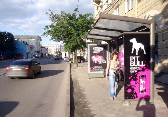 Фото рекламной плоскости по адресу Московский пр., 40 (остановка)