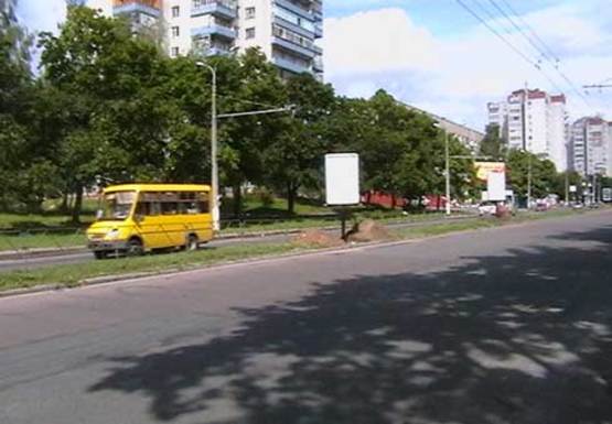 Фото рекламной плоскости по адресу Рокоссовского ул., Детская городская поликлиника №2