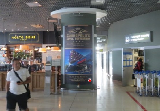 Фото рекламной плоскости по адресу Центральный холл, 1 этаж (Терминал А)