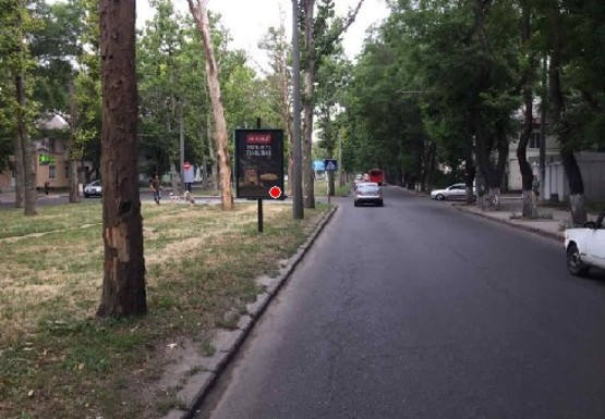 Фото рекламної площини за адресою Адмиральский пр.,8 [11 А]