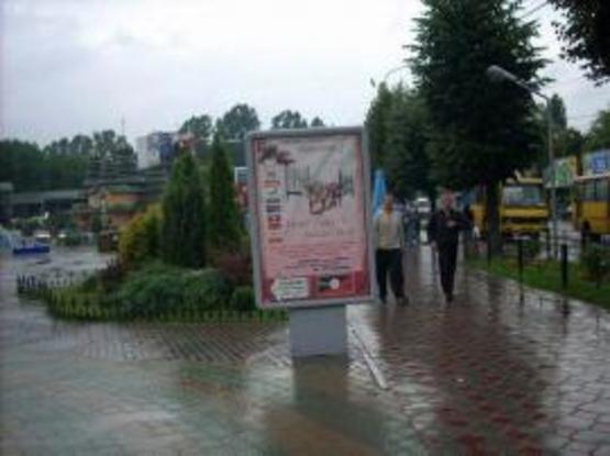 Фото рекламной плоскости по адресу Виговського вул.