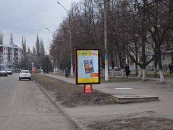 Фото рекламної площини за адресою ул. Центральная (Напротив Синево,ЦЕНТР)