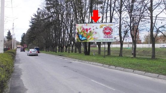 Фото рекламної площини за адресою Пушкина ул., 37, центр города, возле парка им. И.Франка