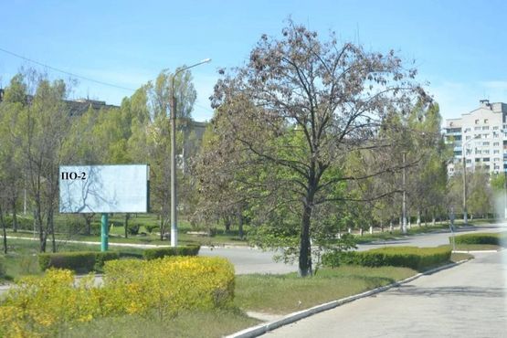 Фото рекламной плоскости по адресу Перекрёсток ул. Освободителей/пр. Победы Левый берег