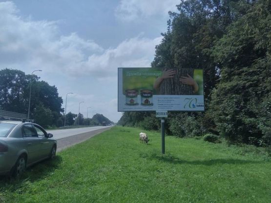 Фото рекламной плоскости по адресу м.Стрий, в'зд у місто