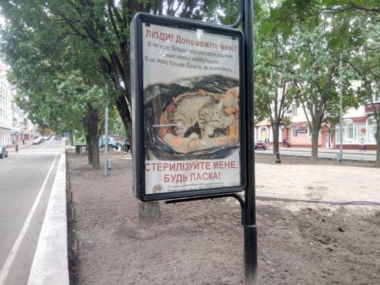 Фото рекламной плоскости по адресу проспект Мира, 29, маг ДМ (сторона Б)