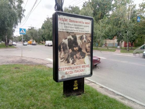 Фото рекламной плоскости по адресу ул Мазепы, 4, маг Кабани (сторона Б)