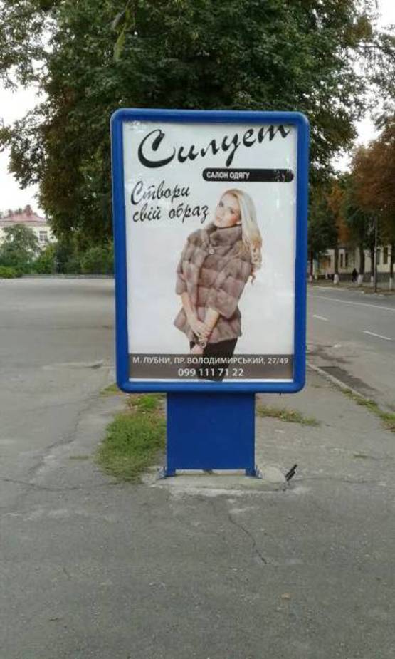 Фото рекламної площини за адресою пр.-т Володимирський,вхід в центральний парк
