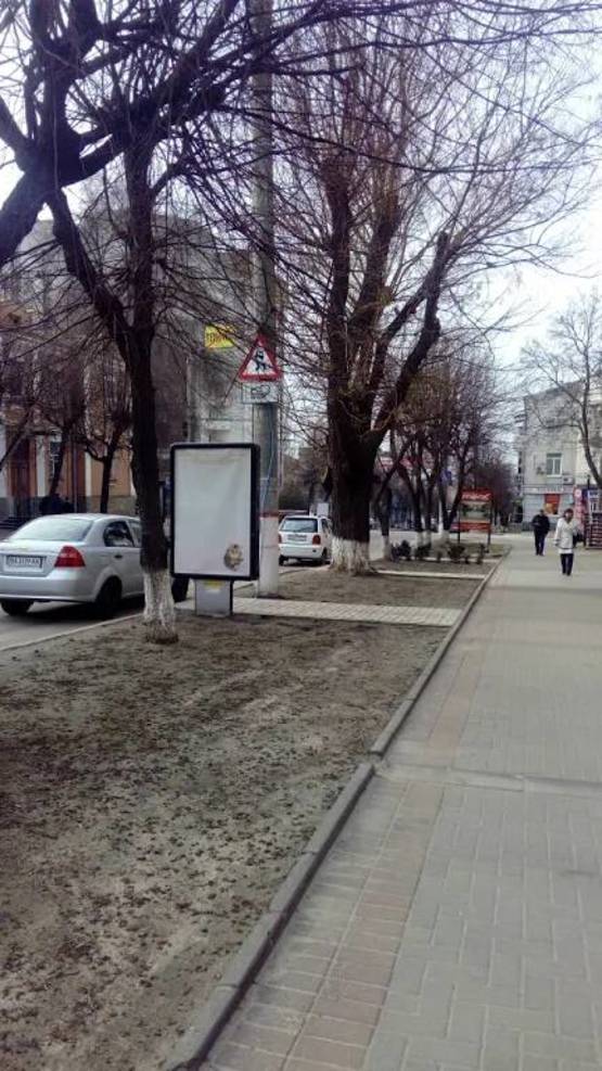 Фото рекламной плоскости по адресу ул. Большая Перспективная