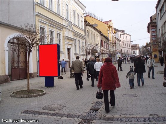 Фото рекламної площини за адресою вул.Волошина(ДМЗ), піш.зона, напр.-вул.Капітульна