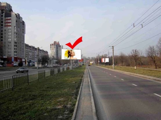 Фото рекламной плоскости по адресу пр.Чорновола 95, маг.Альцест, з центру
