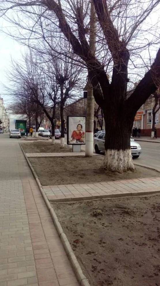 Фото рекламной плоскости по адресу ул. Большая Перспективная