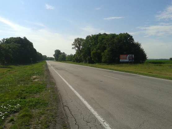 Фото рекламної площини за адресою траса Петриківка - Царичанка, в сторону м. Кобеляки