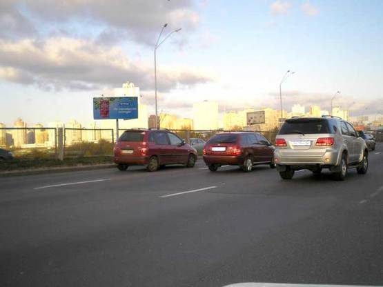 Фото рекламной плоскости по адресу пр.Бажана/Южный мост (птица)