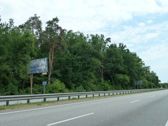 Фото рекламної площини за адресою трасса Киев-Житомир_км 27+950_правый