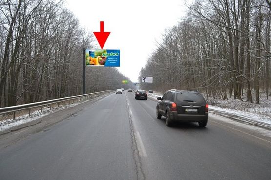 Фото рекламної площини за адресою Лозовеньковский пр-т-Фельдман-экопарк-флажок№3 в ст Салтовки