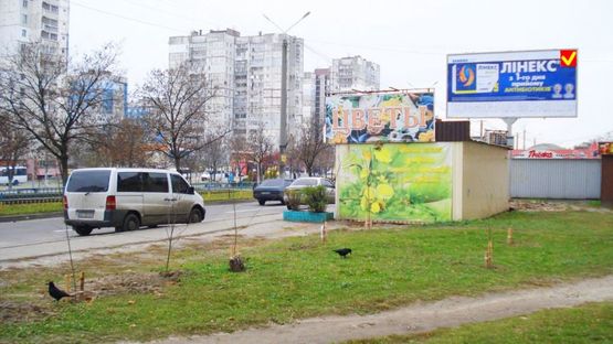 Фото рекламной плоскости по адресу пр-т. Миру, ринок/пр. Мира, рынок, рядом ТЦ Караван