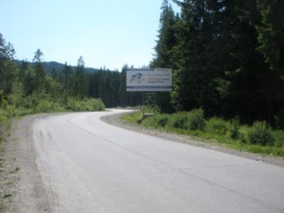 Фото рекламной плоскости по адресу перед с.Паляниця