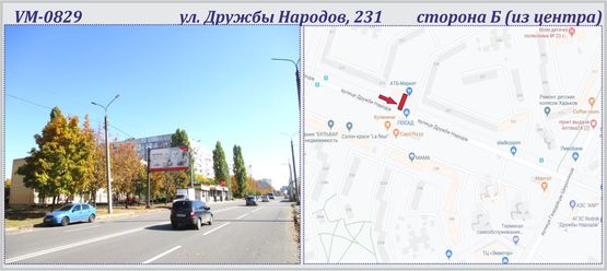 Фото рекламной плоскости по адресу Дружбы Народов ул., 231 (флажок)