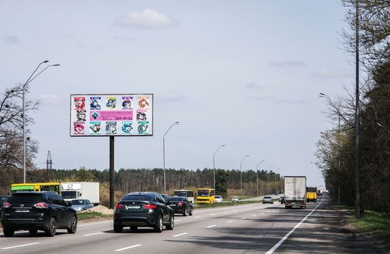 Фото рекламної площини за адресою Пр-т Броварской, РАЗДЕЛИТЕЛЬ. 200 м от поворота на Киевскую птицефабрику, в сторону Броваров