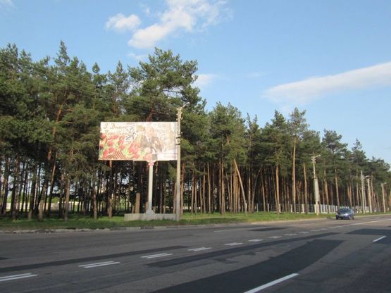 Фото рекламной плоскости по адресу ул.Короленко(Лесопарковая)