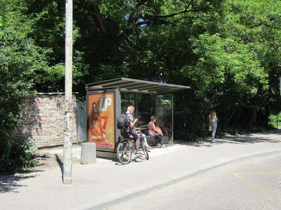 Фото рекламной плоскости по адресу Вячеслава Липинського вул. - Покутська вул.