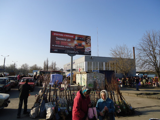 Фото рекламної площини за адресою г.Александрия( ул. Садовая)