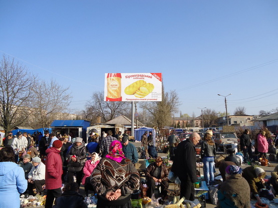 Фото рекламної площини за адресою г.Александрия( ул. Садовая)