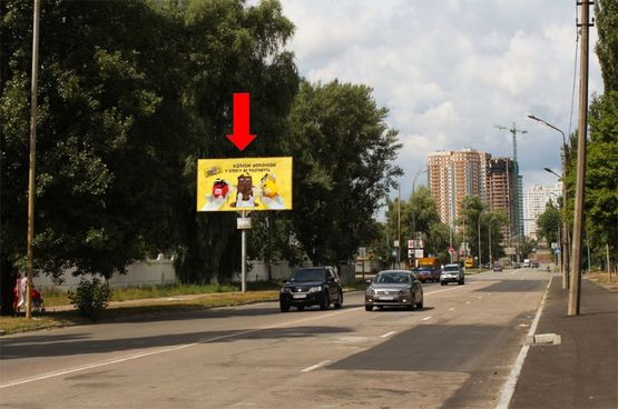 Фото рекламної площини за адресою Сортировочная ул., в сторону въезда на мост Дарницкий