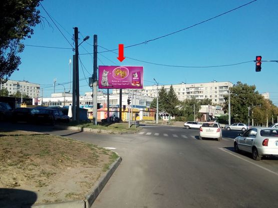 Фото рекламной плоскости по адресу Гвардейцев Широнинцев ул. - ул. Бучмы, возле магазина "Ева", в сторону ул. Ак. Павлова