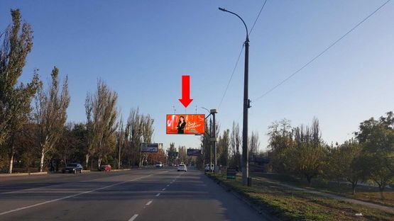 Фото рекламной плоскости по адресу Николаевское шоссе, возле автосалона "Лада", гусь, над дорогой, в центр