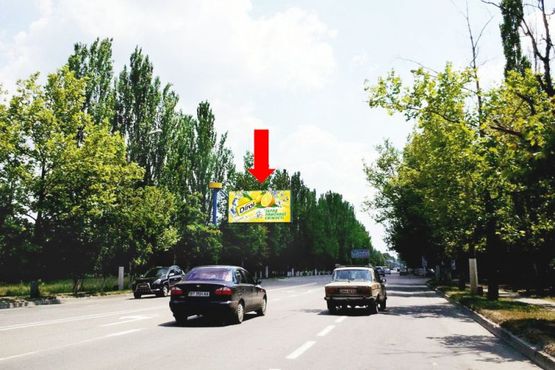 Фото рекламной плоскости по адресу Николаевское шоссе, возле отеля "Нон-Стоп", гусь, над дорогой, в центр