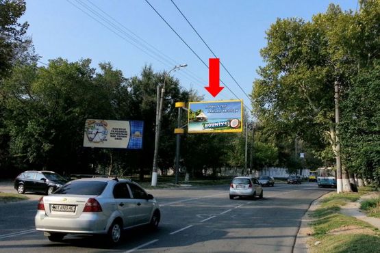 Фото рекламной плоскости по адресу Кулика ул. / Ингульский пер., гусь, над дорогой