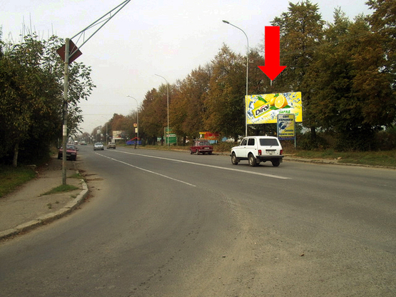 Фото рекламной плоскости по адресу Гагарина Ю. ул., возле магазина «Домовый»