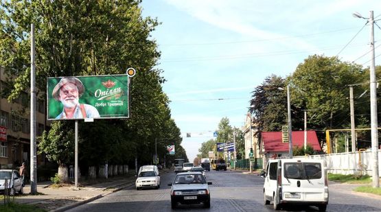 Фото рекламной плоскости по адресу Городоцкая ул, 205, из центра