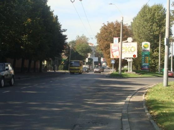 Фото рекламной плоскости по адресу Городоцкая ул, 217, из центра