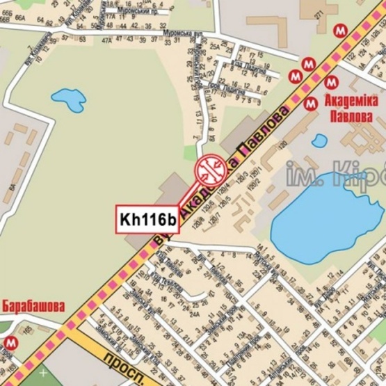 Схема рекламной плоскости по адресу Ак.Павлова ул., 120/4