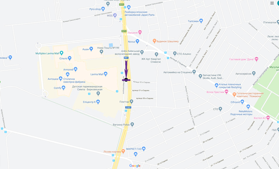 Схема рекламной плоскости по адресу пр. Академіка Палладіна,, напроти входу в ТРЦ Лавіна