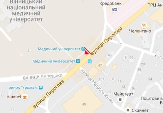 Схема рекламной плоскости по адресу Пирогова ул., 56 (Остановка) [№29]
