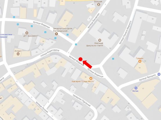 Схема рекламной плоскости по адресу Фединца ул., в сторону пл. Корятовича, остановка